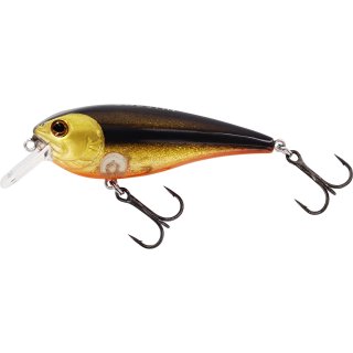 3D Gold Minnow - Limited Edition