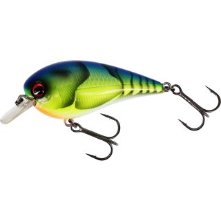Chartreuse Blue Craw