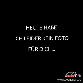 Orange Snow - Limited Edition